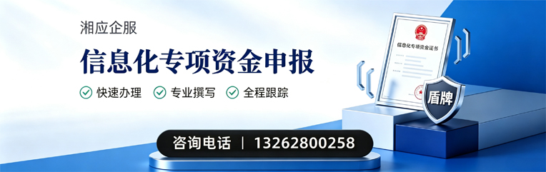 芜湖信息化专项资金申报服务