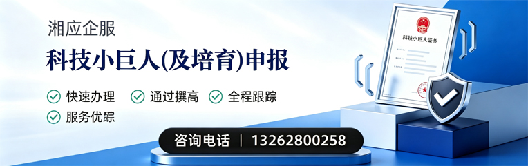 芜湖科技小巨人及培育企业申报服务