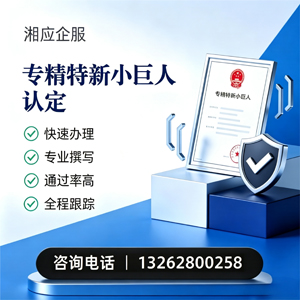 芜湖专精特新小巨人申报服务