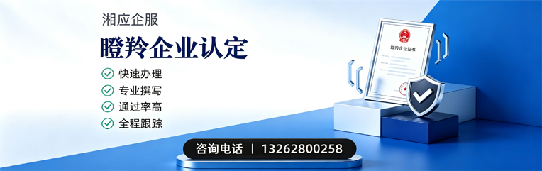 芜湖瞪羚企业认定申报服务