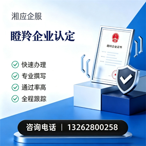 芜湖瞪羚企业认定申报服务