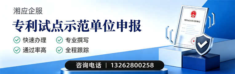 芜湖专利试点示范单位申报服务
