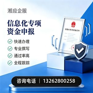 芜湖信息化专项资金申报服务
