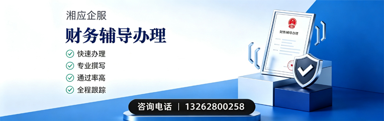 芜湖财务辅导申请服务