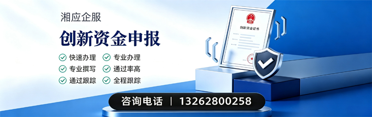 芜湖创新资金申报服务