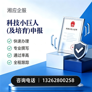 芜湖科技小巨人及培育企业申报服务