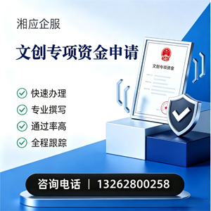芜湖文创专项资金申报服务