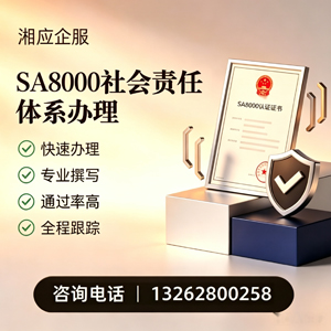 芜湖SA8000社会责任体系认证服务