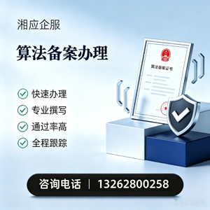 芜湖算法备案申报服务