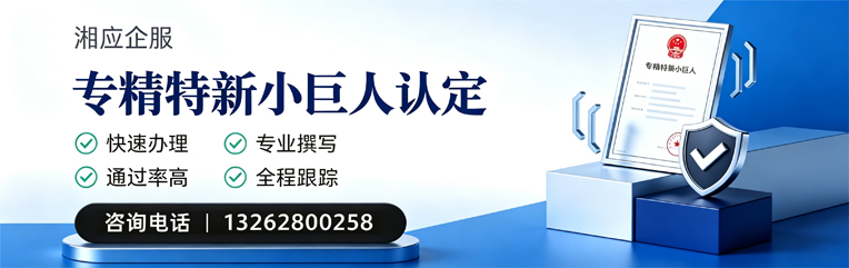 芜湖专精特新小巨人申报服务